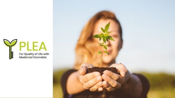 New patient group established to challenge lack of access to medical cannabis